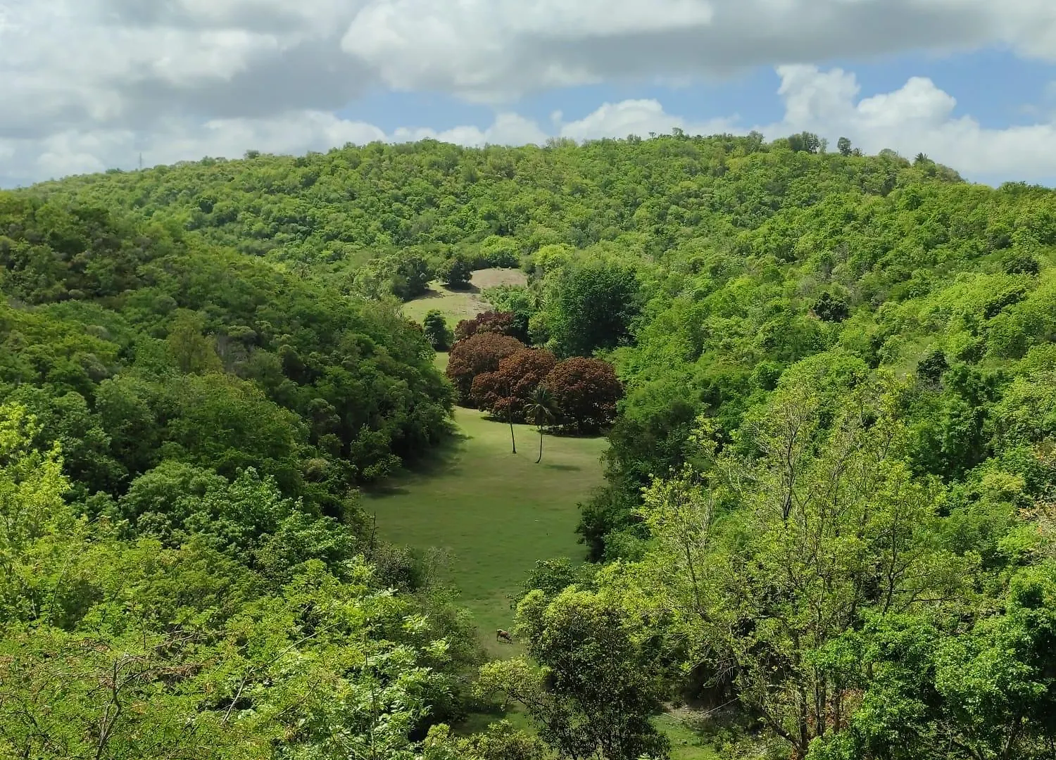 Les Hauts De Beline Petit-Havre Le Gosier  0*, Le Gosier (Grande-Terre) Guadeloupe