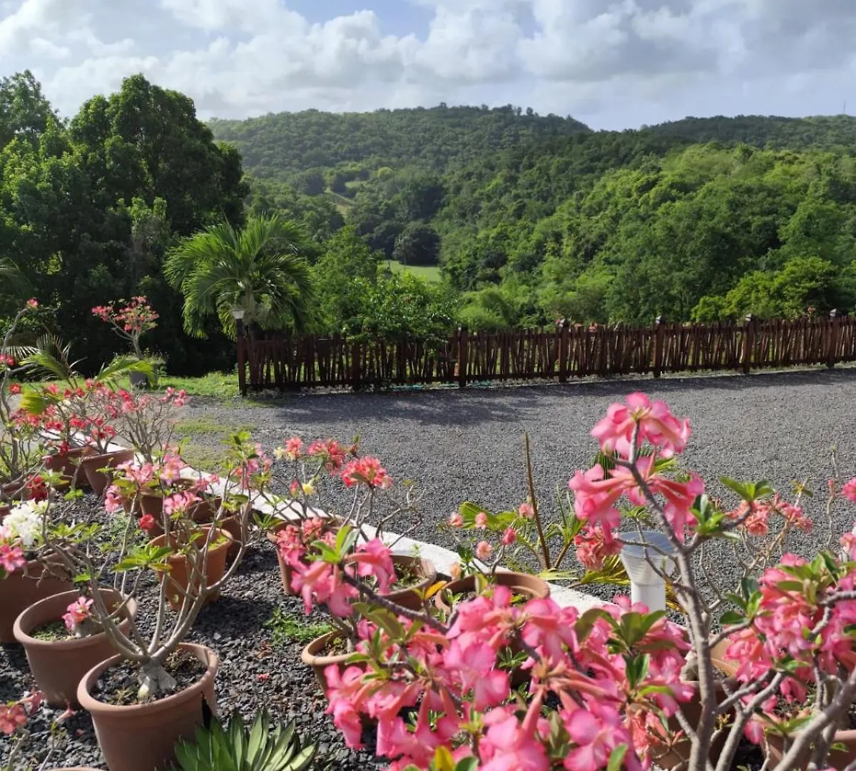 Les Hauts De Beline Petit-Havre Le Gosier  0*, Le Gosier (Grande-Terre) Guadeloupe